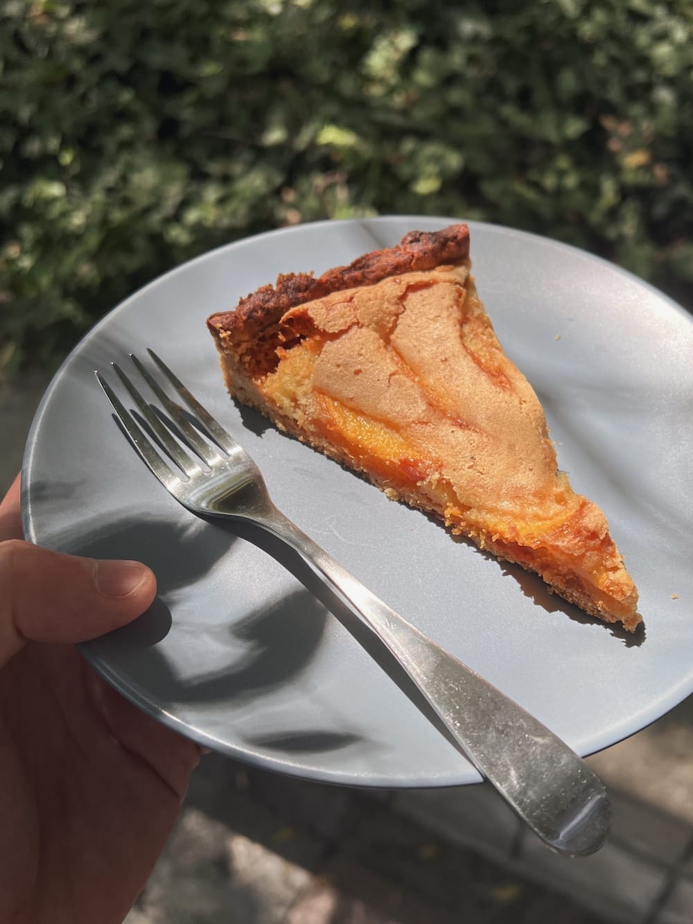 Nectarine brown butter tart